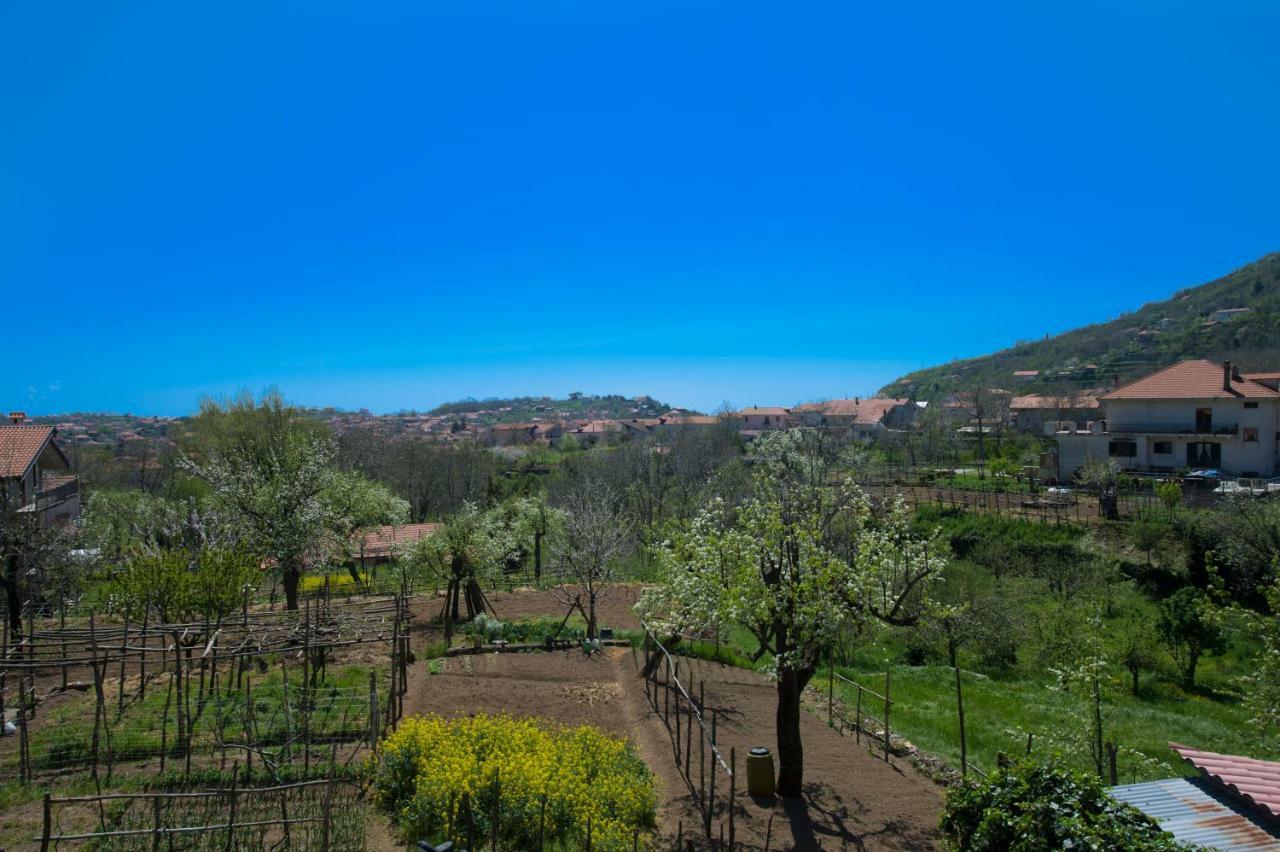 Al Cortile Di Nonno Luigi Villa Agerola Buitenkant foto